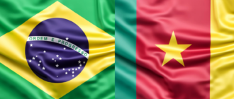 Прогноз Камерун - Бразилия