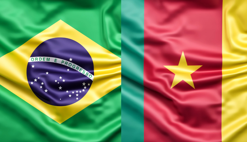 Прогноз Камерун - Бразилия