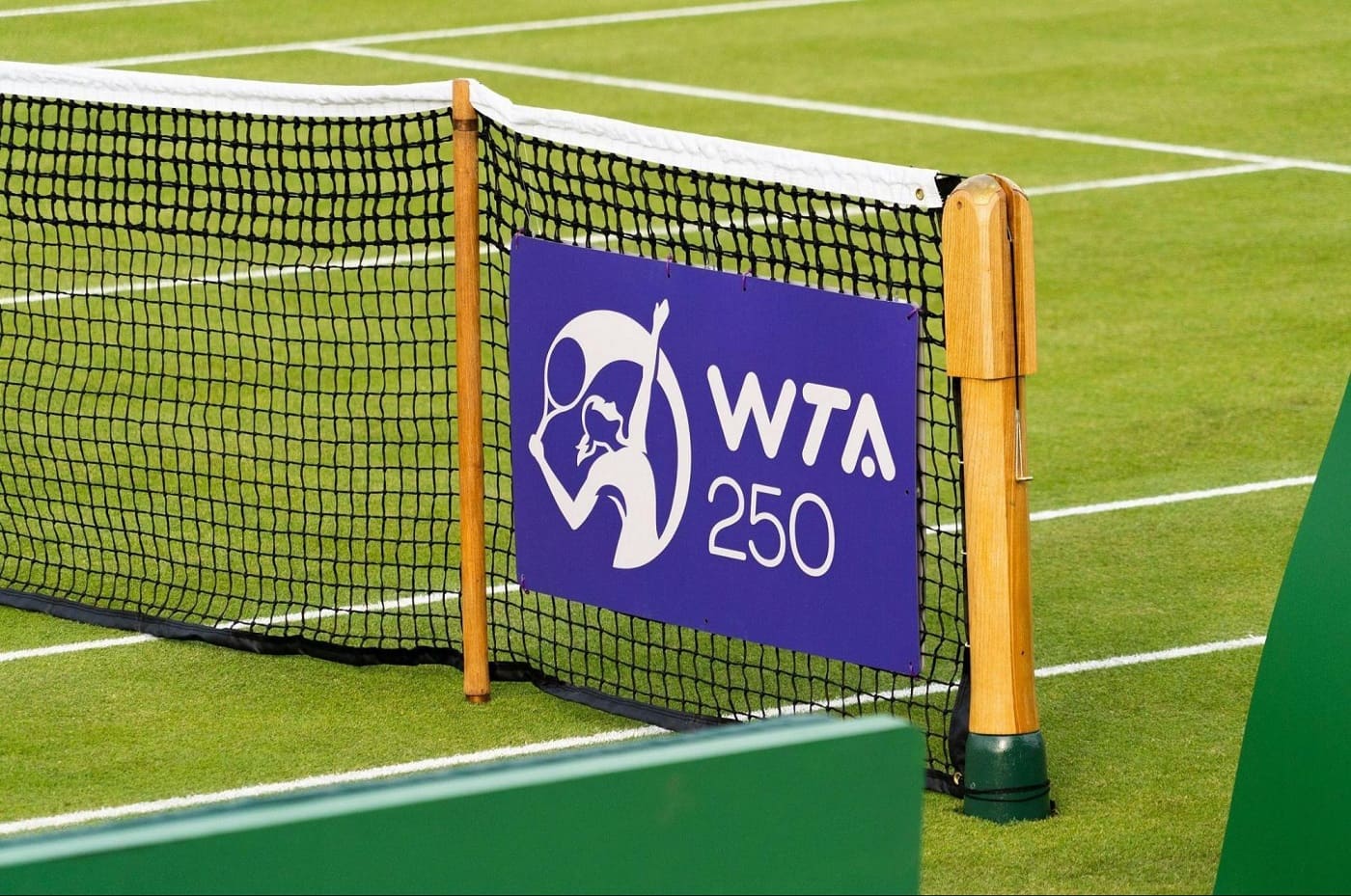 Турниры серии ATP 250 и WTA 250